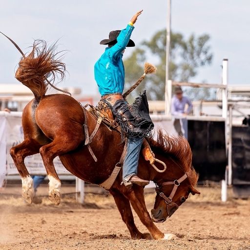 Cowboy riding a bucking bronco