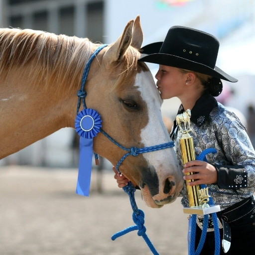 Fairs & Festivals