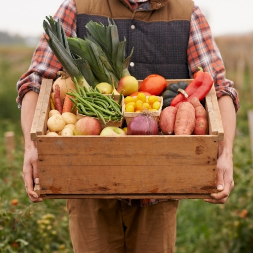 Farms & Agritourism