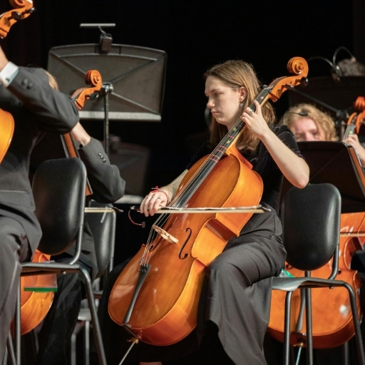 Theaters & Performing Arts