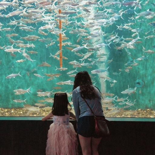 Zoos & Aquariums