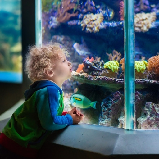 Zoos & Aquariums